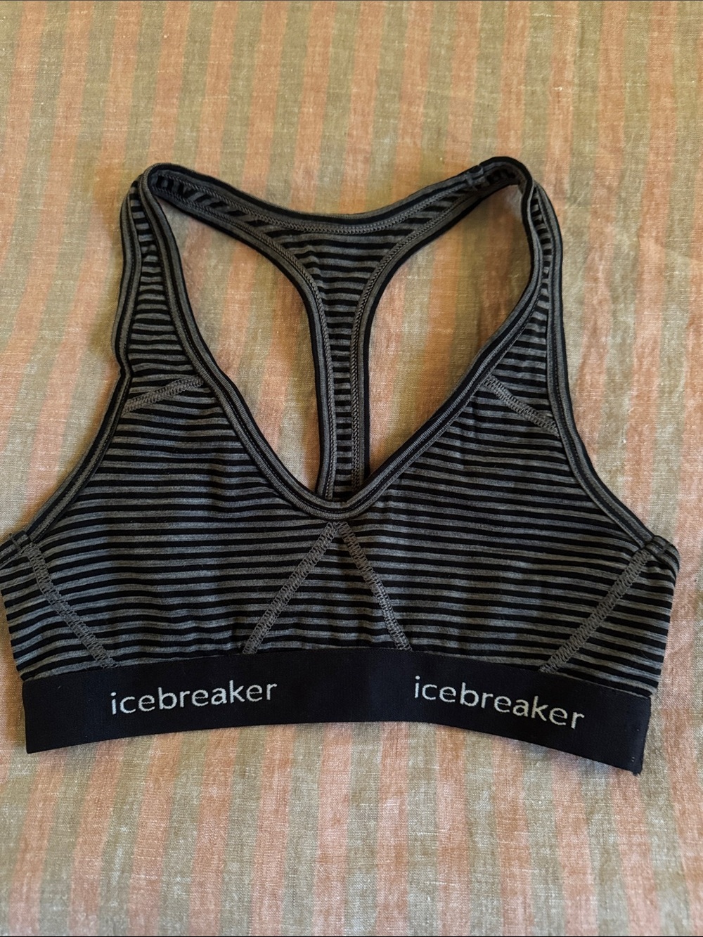 Icebreaker Black & Gray Striped Racerback Sports Bra